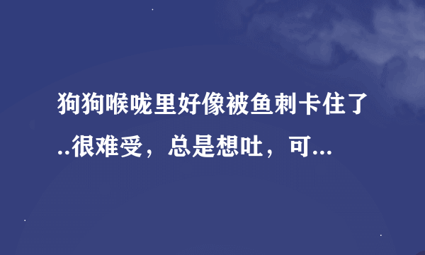 狗狗喉咙里好像被鱼刺卡住了..很难受，总是想吐，可吐不出来...（有没有不去医院，就能取出鱼刺的方法？）