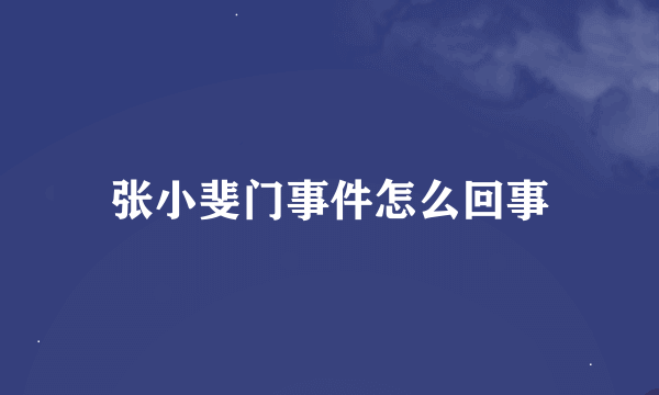 张小斐门事件怎么回事