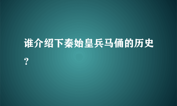 谁介绍下秦始皇兵马俑的历史？