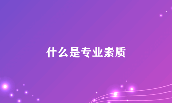 什么是专业素质