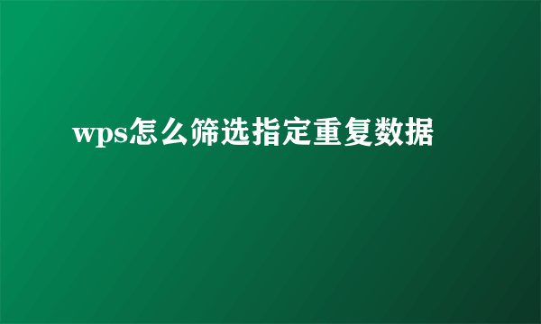 wps怎么筛选指定重复数据