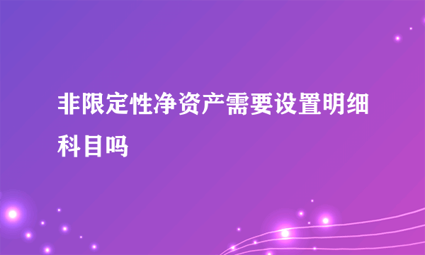 非限定性净资产需要设置明细科目吗