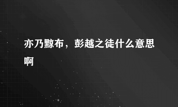 亦乃黥布，彭越之徒什么意思啊