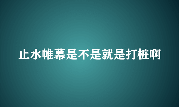 止水帷幕是不是就是打桩啊