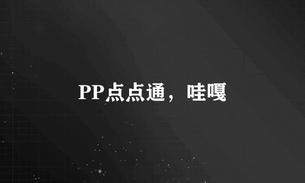 PP点点通，哇嘎