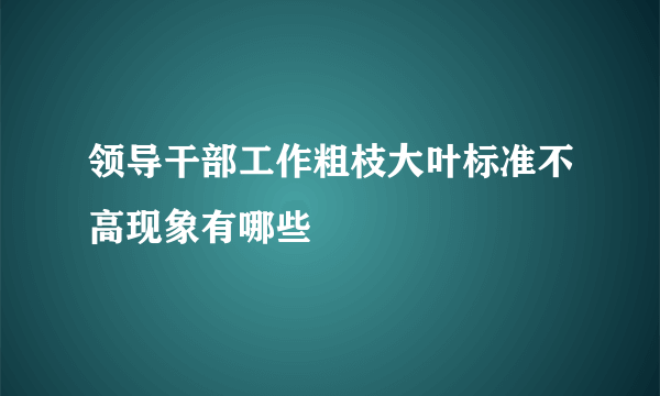 领导干部工作粗枝大叶标准不高现象有哪些