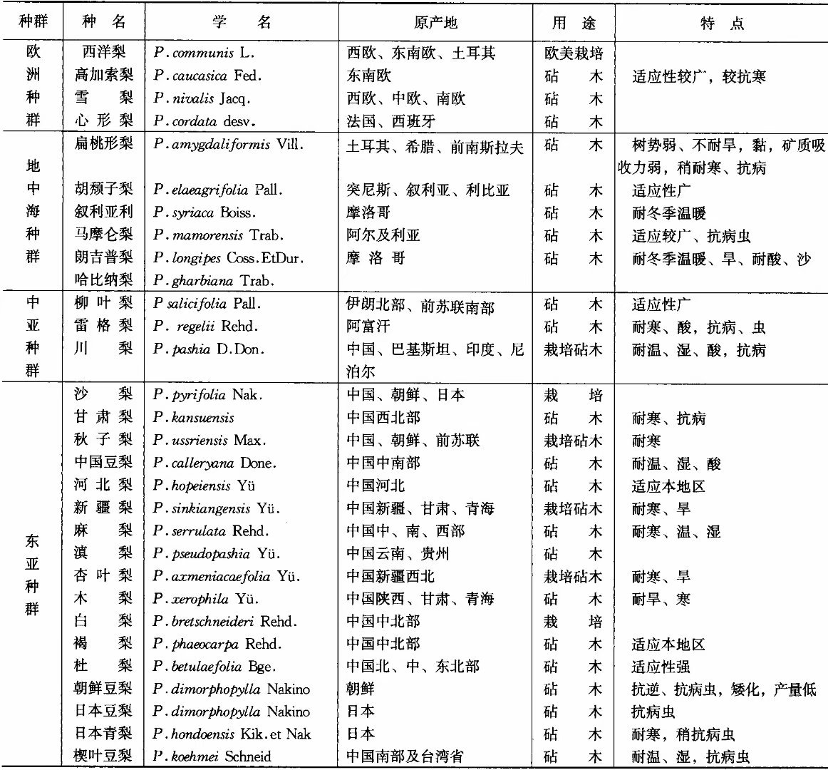 梨的主要种类有哪些？