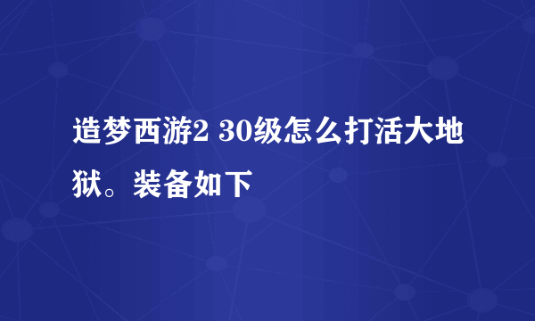 造梦西游2 30级怎么打活大地狱。装备如下