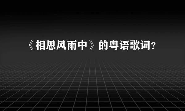 《相思风雨中》的粤语歌词？