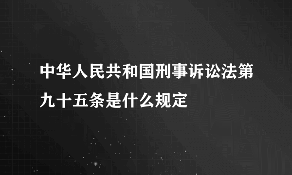 中华人民共和国刑事诉讼法第九十五条是什么规定