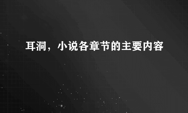 耳洞，小说各章节的主要内容