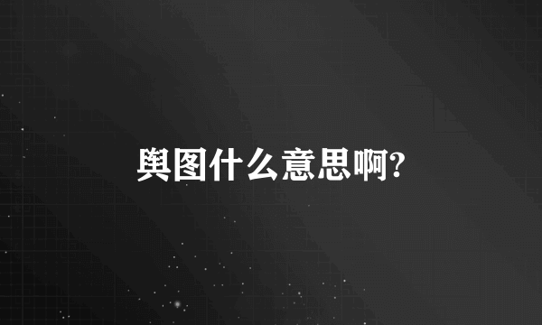 舆图什么意思啊?