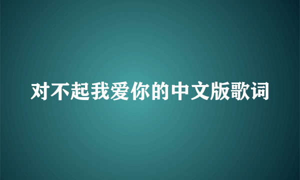 对不起我爱你的中文版歌词