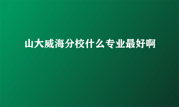 山大威海分校什么专业最好啊