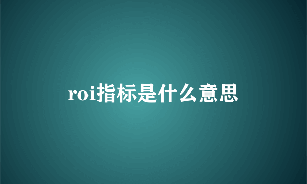 roi指标是什么意思