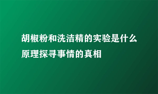 胡椒粉和洗洁精的实验是什么原理探寻事情的真相