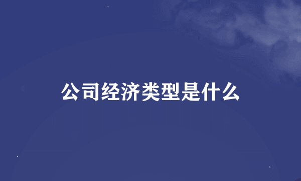 公司经济类型是什么