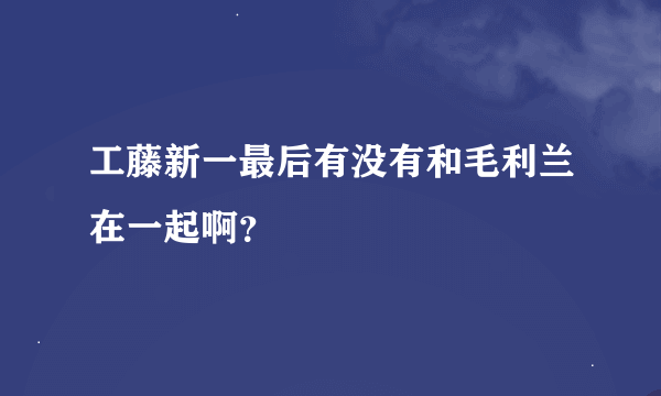 工藤新一最后有没有和毛利兰在一起啊？