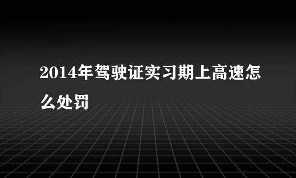 2014年驾驶证实习期上高速怎么处罚