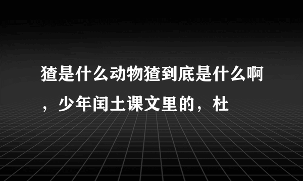 猹是什么动物猹到底是什么啊，少年闰土课文里的，杜