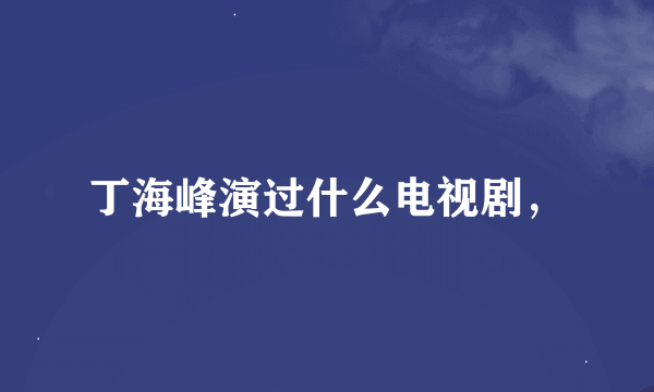 丁海峰演过什么电视剧，