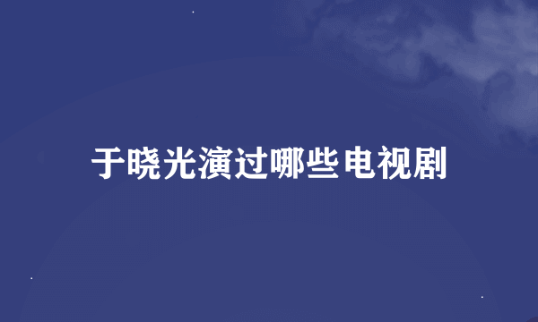 于晓光演过哪些电视剧