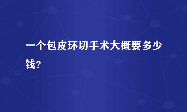 一个包皮环切手术大概要多少钱？