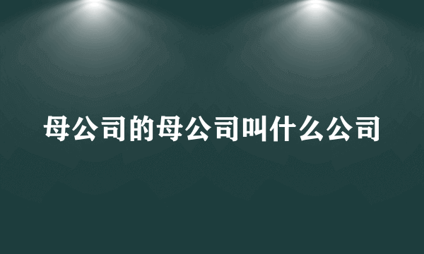 母公司的母公司叫什么公司