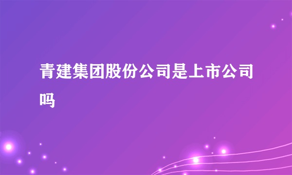 青建集团股份公司是上市公司吗