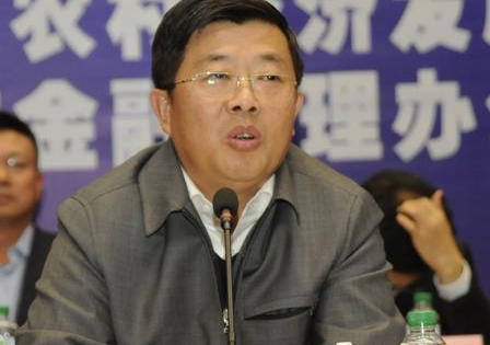 大连有几个副市长，现在的