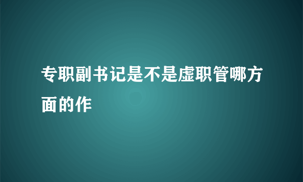 专职副书记是不是虚职管哪方面的作