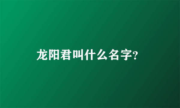 龙阳君叫什么名字？