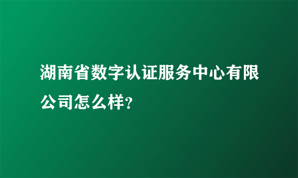 湖南省数字认证服务中心有限公司怎么样？