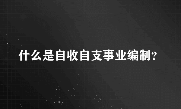 什么是自收自支事业编制？