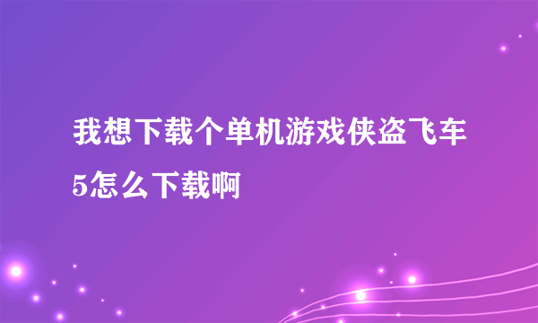 我想下载个单机游戏侠盗飞车5怎么下载啊