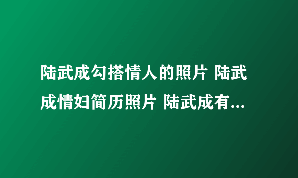 陆武成勾搭情人的照片 陆武成情妇简历照片 陆武成有几个情人