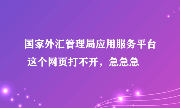 国家外汇管理局应用服务平台 这个网页打不开，急急急