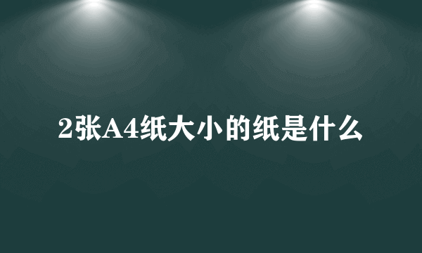 2张A4纸大小的纸是什么