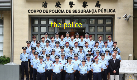 the police是单数还是复数