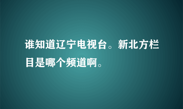 谁知道辽宁电视台。新北方栏目是哪个频道啊。