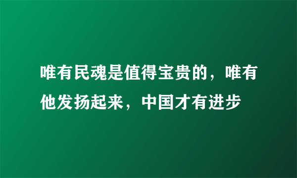 唯有民魂是值得宝贵的，唯有他发扬起来，中国才有进步