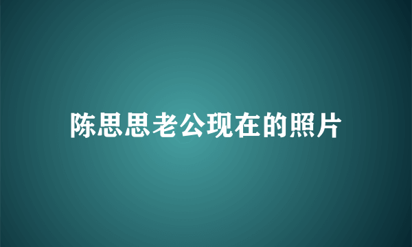 陈思思老公现在的照片