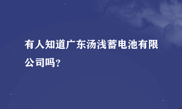 有人知道广东汤浅蓄电池有限公司吗？