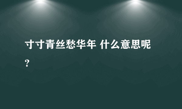 寸寸青丝愁华年 什么意思呢？