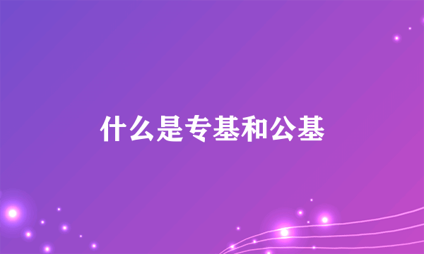 什么是专基和公基