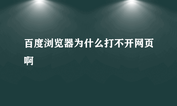 百度浏览器为什么打不开网页啊