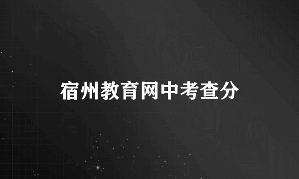 宿州教育网中考查分