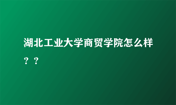 湖北工业大学商贸学院怎么样？？