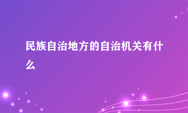 民族自治地方的自治机关有什么