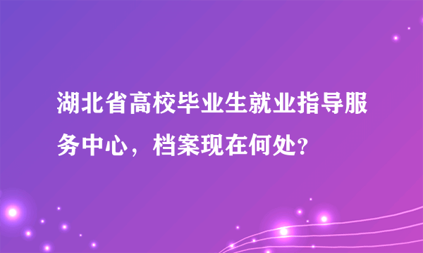 湖北省高校毕业生就业指导服务中心，档案现在何处？